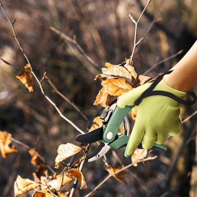 Nożyce kowadełkowe do ogrodu (stal nierdzewna)